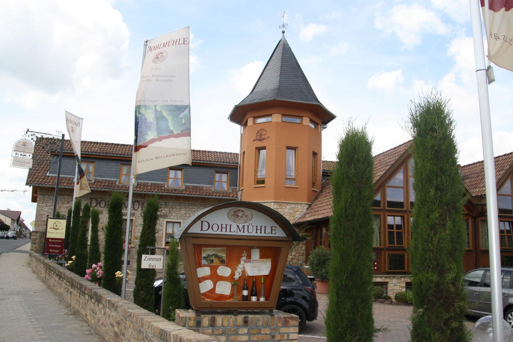 Dohlmuehle Hotel & Weingut Флонгайм Екстер'єр фото