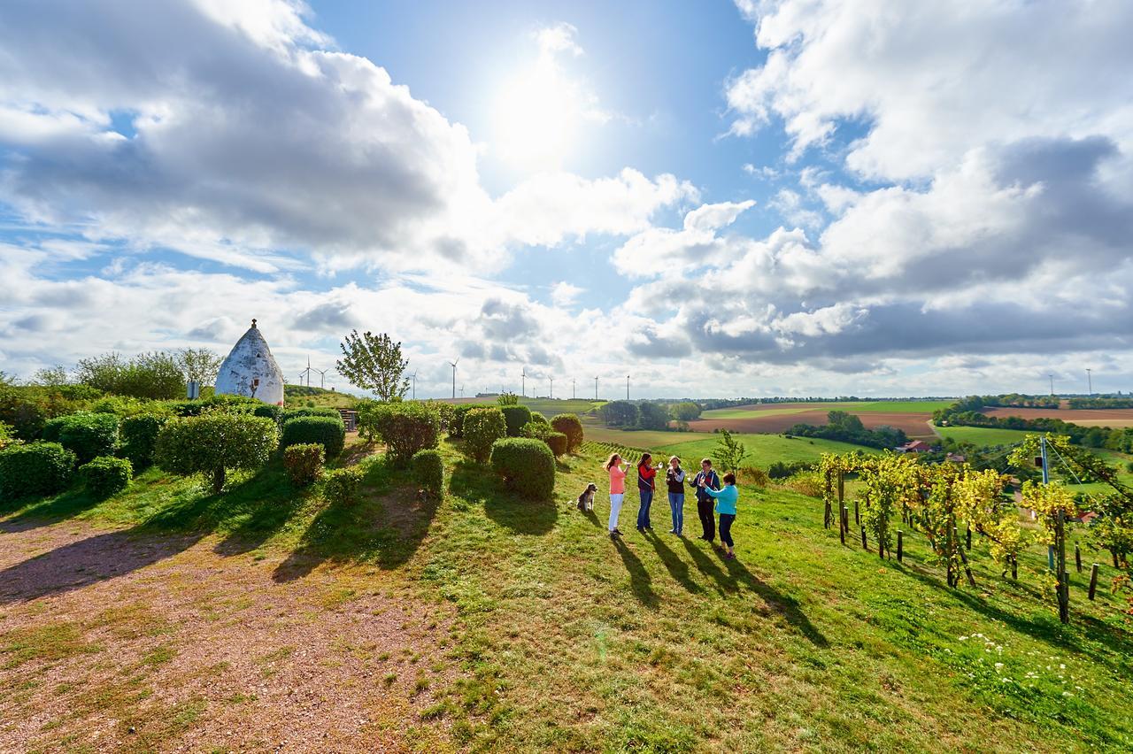 Dohlmuehle Hotel & Weingut Флонгайм Екстер'єр фото